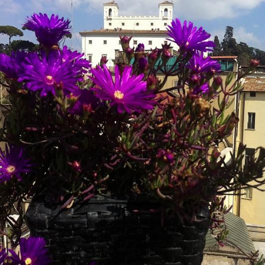 Domus Valeria Guest House Rome Exterior photo